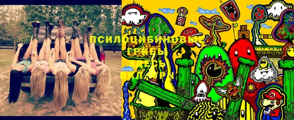 мет Коряжма